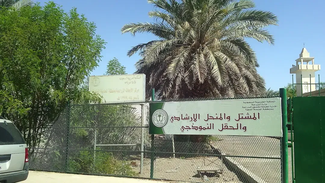 Well of Uthman (Bi'r Rumah)